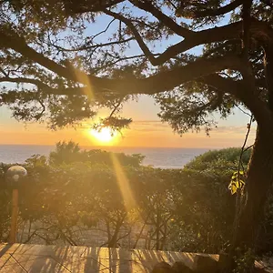 https://villetta-dei-costa-paradiso.in-sardinia.net